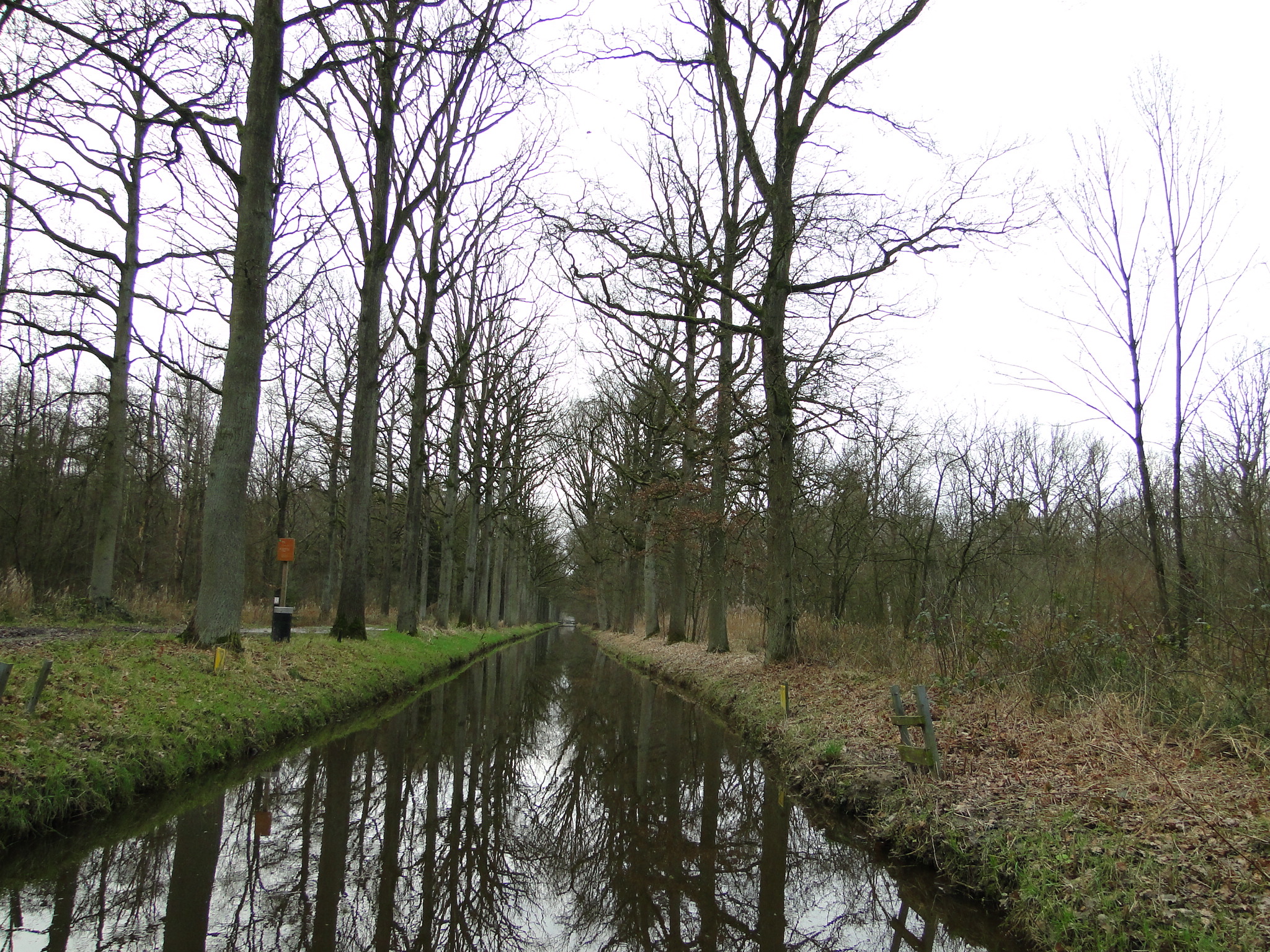NWK 2012 035.jpg